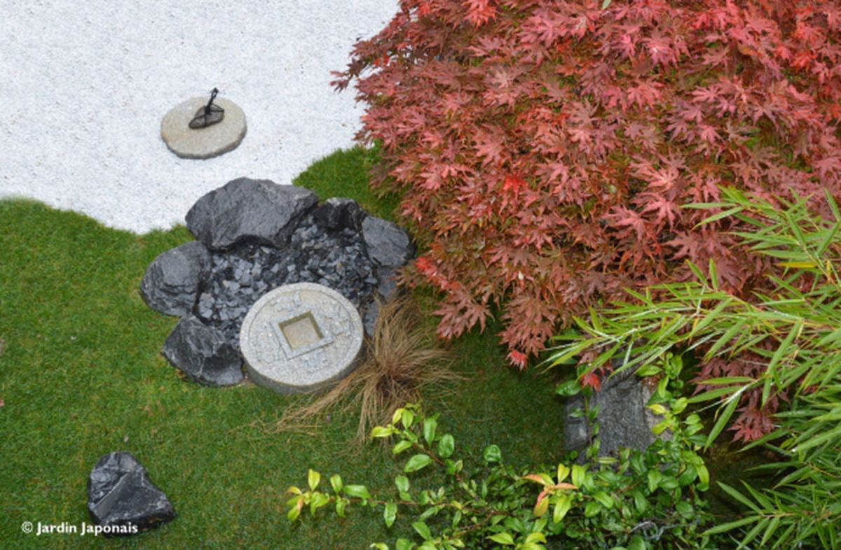 Plongée dans l'art du jardin de thé : une expérience qui transcende l'ordinaire