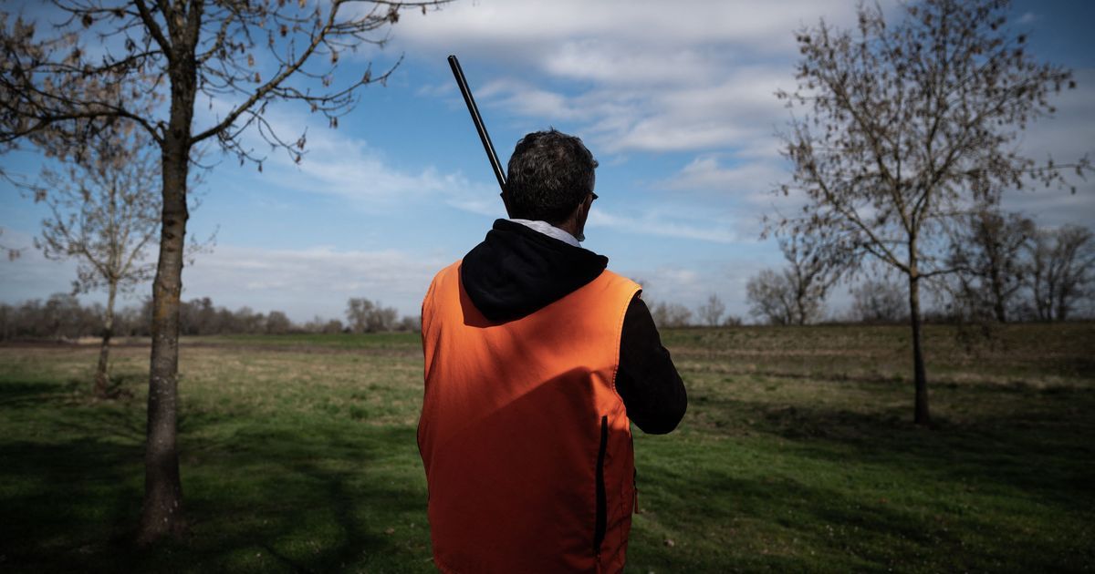 Un drame à la chasse : un homme de 77 ans condamné pour avoir tué son ami
