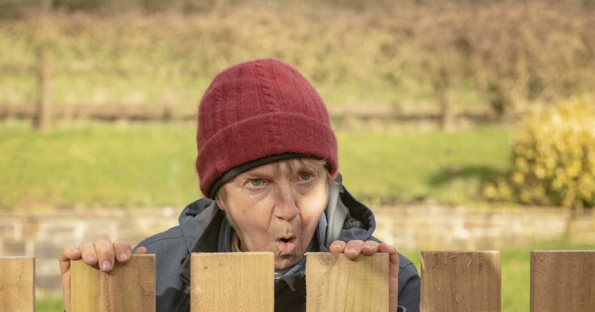 Séparations entre voisins : quelles règles suivre pour un mur ou un grillage ?