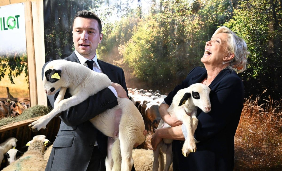 Marine Le Pen, la véritable star du paysage politique français