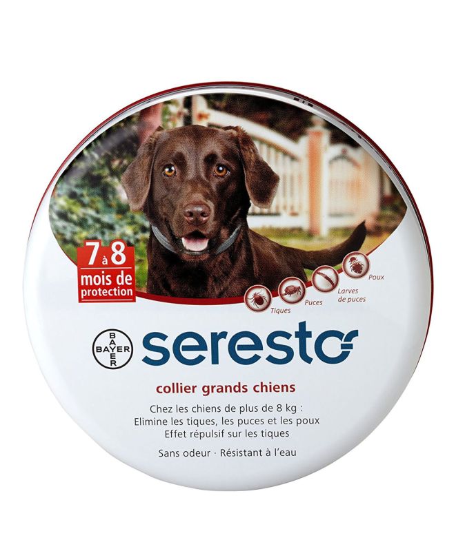Découvrez le collier Seresto : la protection idéale pour vos animaux