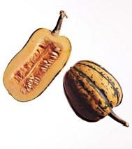 Les légumes oubliés