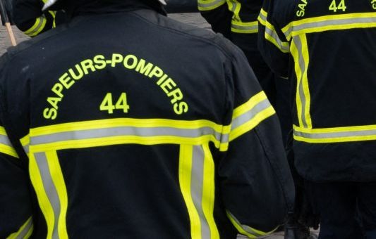 Un cachalot de 12 mètres échoué en Loire-Atlantique : sauveteurs mobilisés pour une opération délicate
