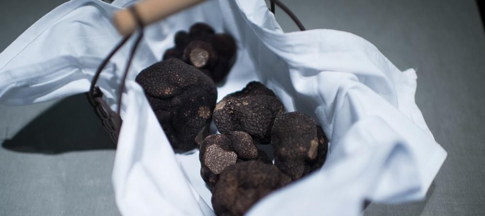 À la découverte des truffes : les meilleures adresses en ligne