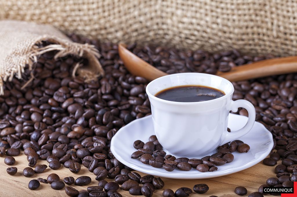 Cafés Méo : un voyage gustatif depuis 1928