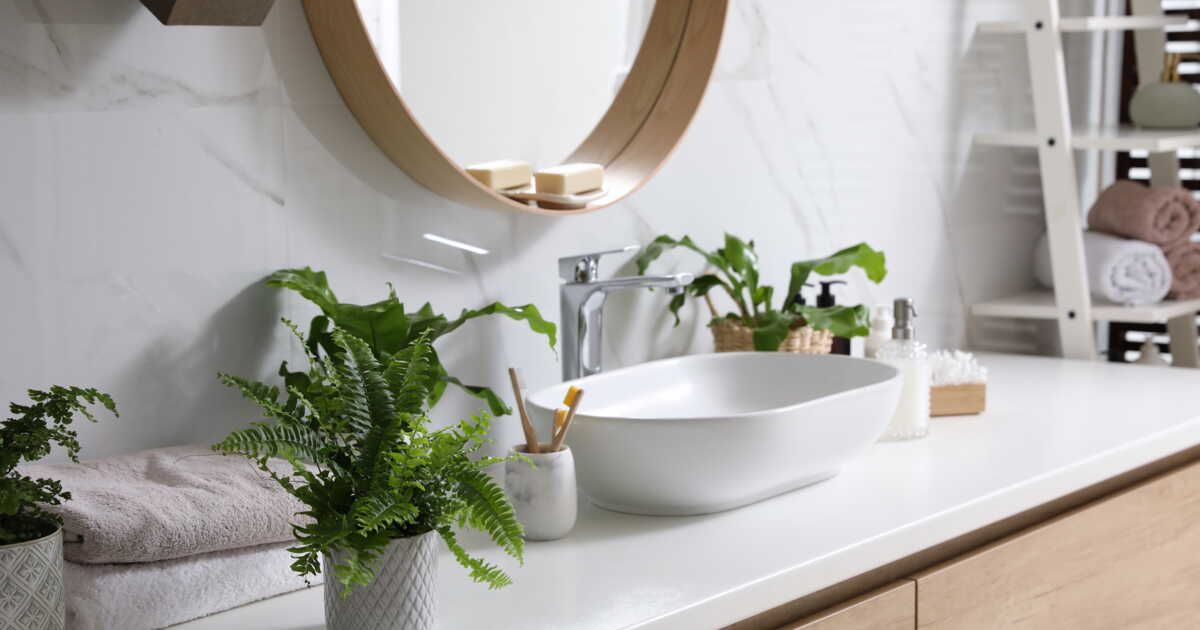 Les plantes parfaites pour une salle de bain humide