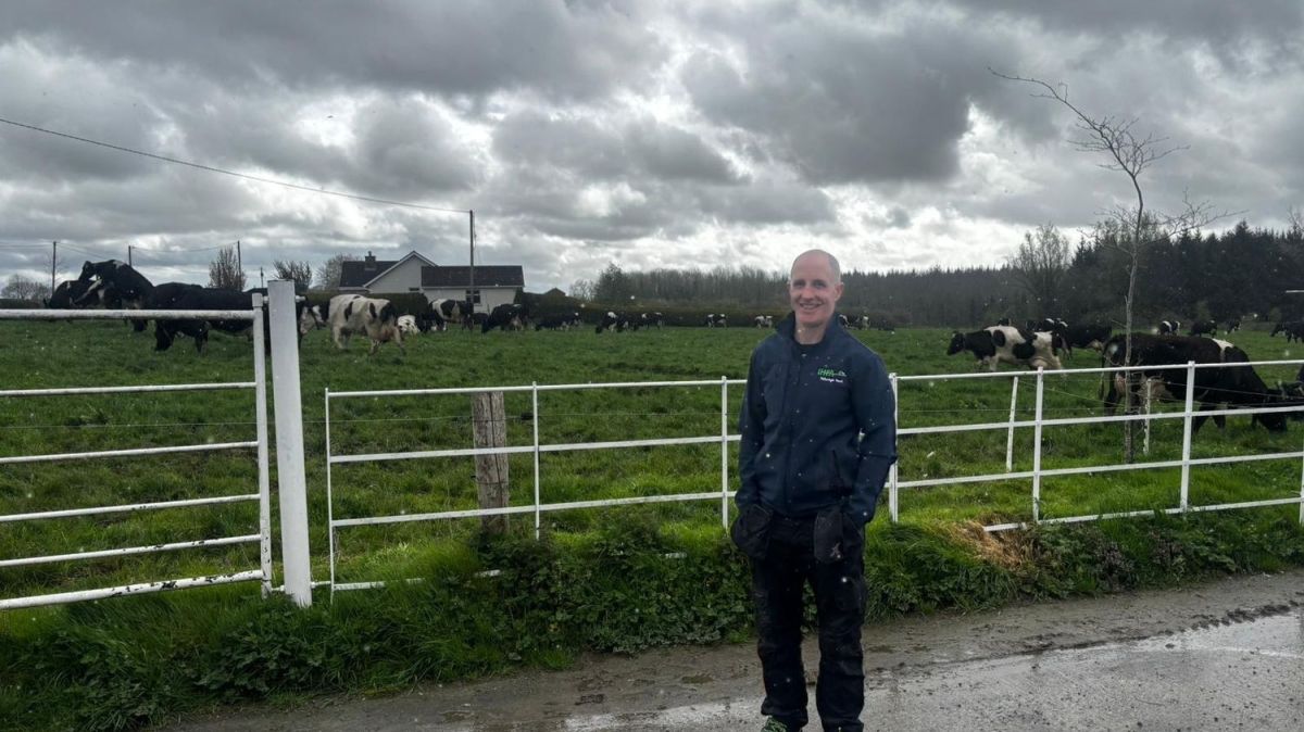 Éleveurs en détresse en Irlande : la hausse des prix des carburants les plonge dans la tourmente