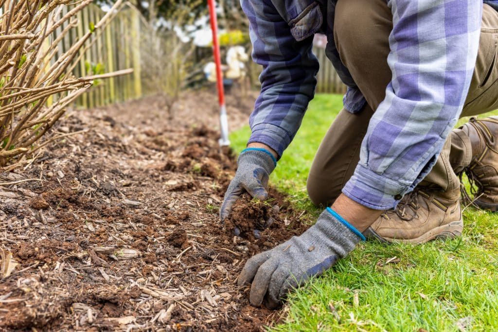 Découvrez les tendances jardin 2025 qui vont transformer vos espaces verts