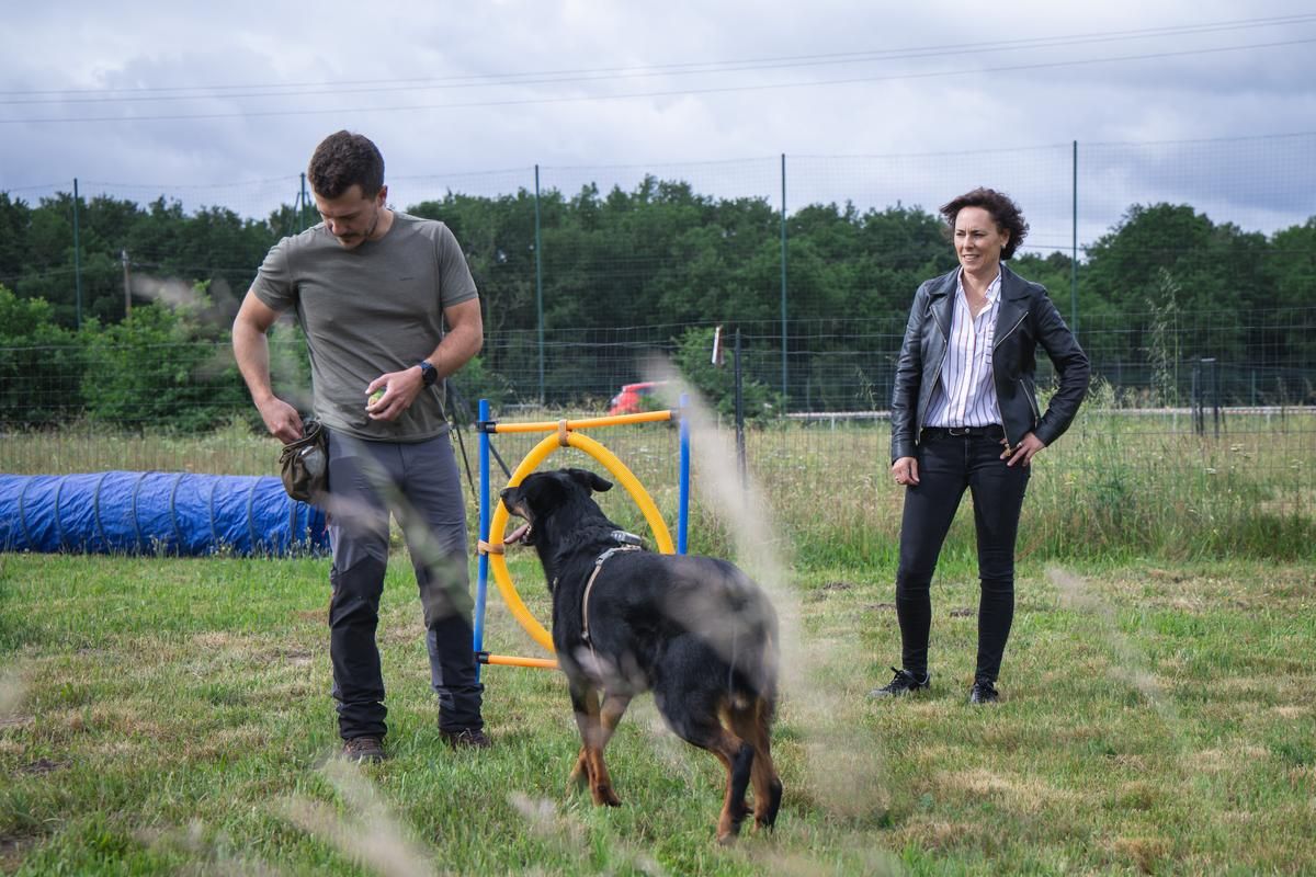 Louer un jardin pour son chien, une idée inspirante avec Unleaz