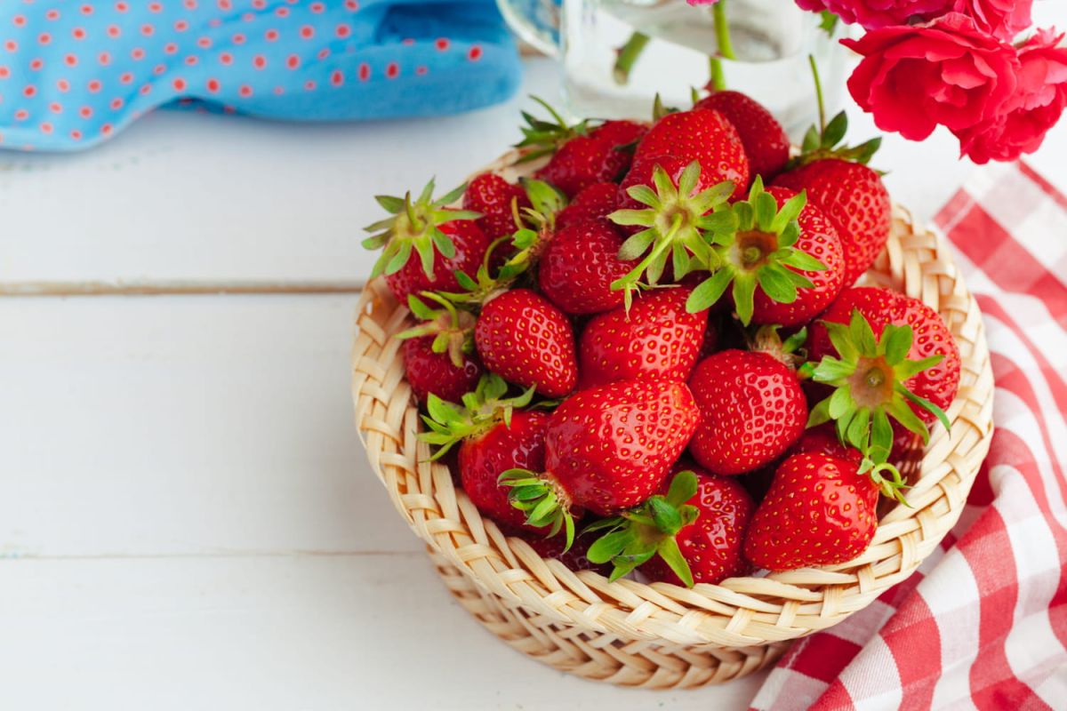 un secret de grand-mère pour conserver vos fraises fraîchement cueillies