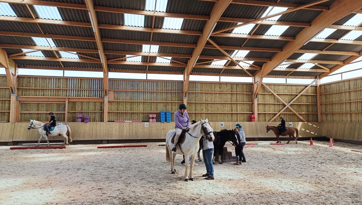 Un manège innovant pour l'équitation adaptée dans la Manche