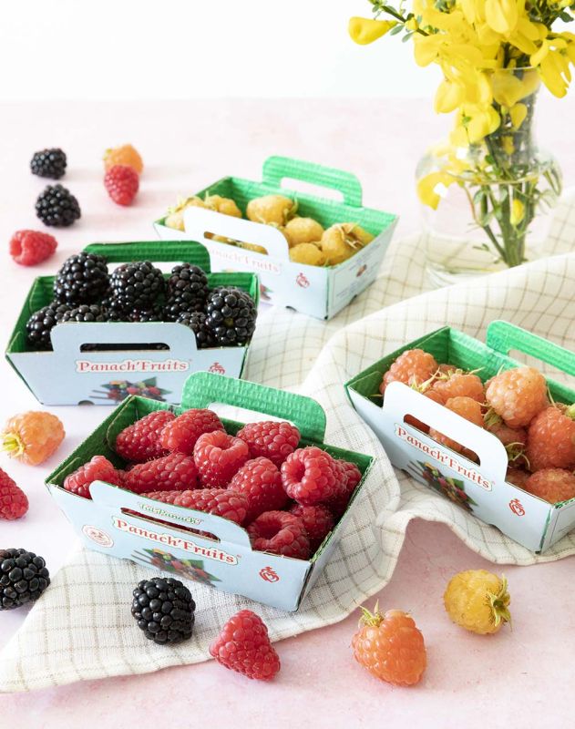 Framboises : astuces pour les cuisiner comme un chef et découvrir le naked cake