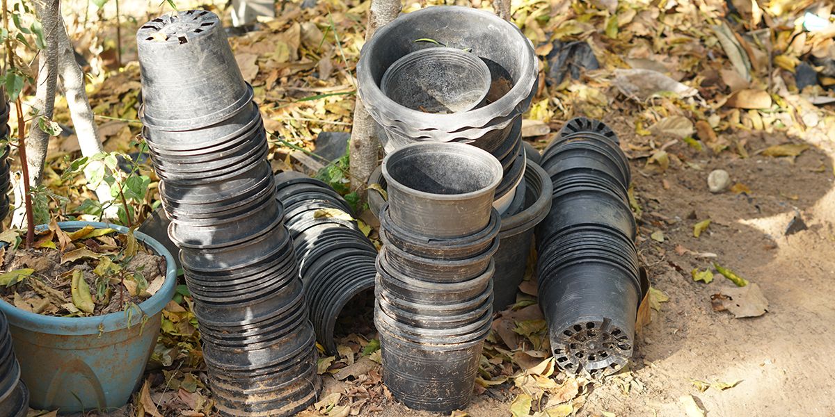 Redonnez vie à vos pots en plastique