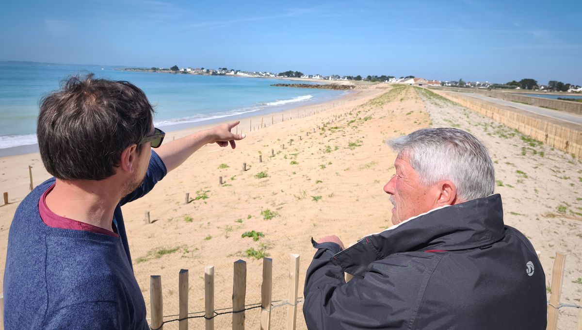 Gâvres mise sur la nature pour lutter contre l'érosion côtière