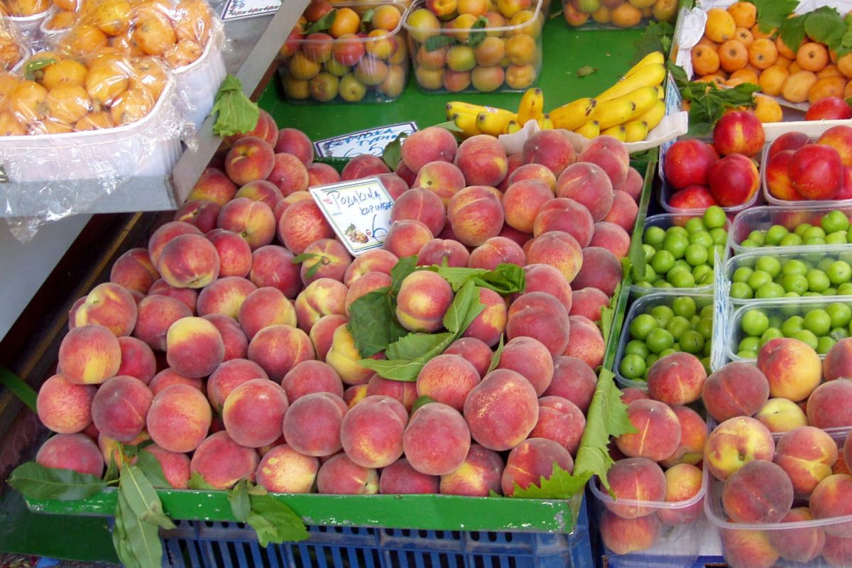 Découvrez la variété de pêches au goût sucré irrésistible