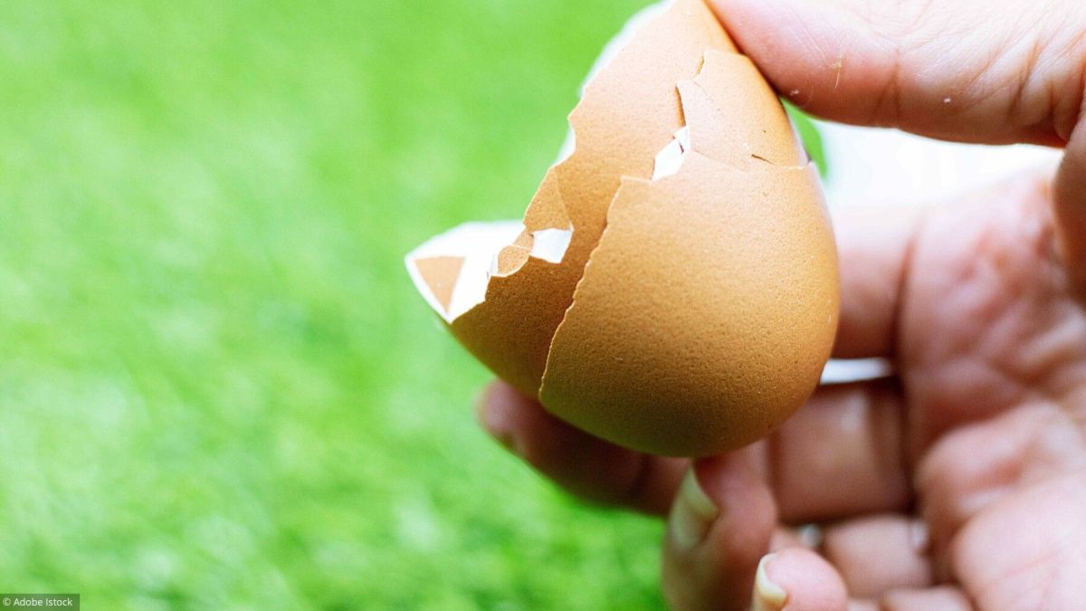 Redonnez vie à vos coquilles d'œuf : 3 astuces économiques
