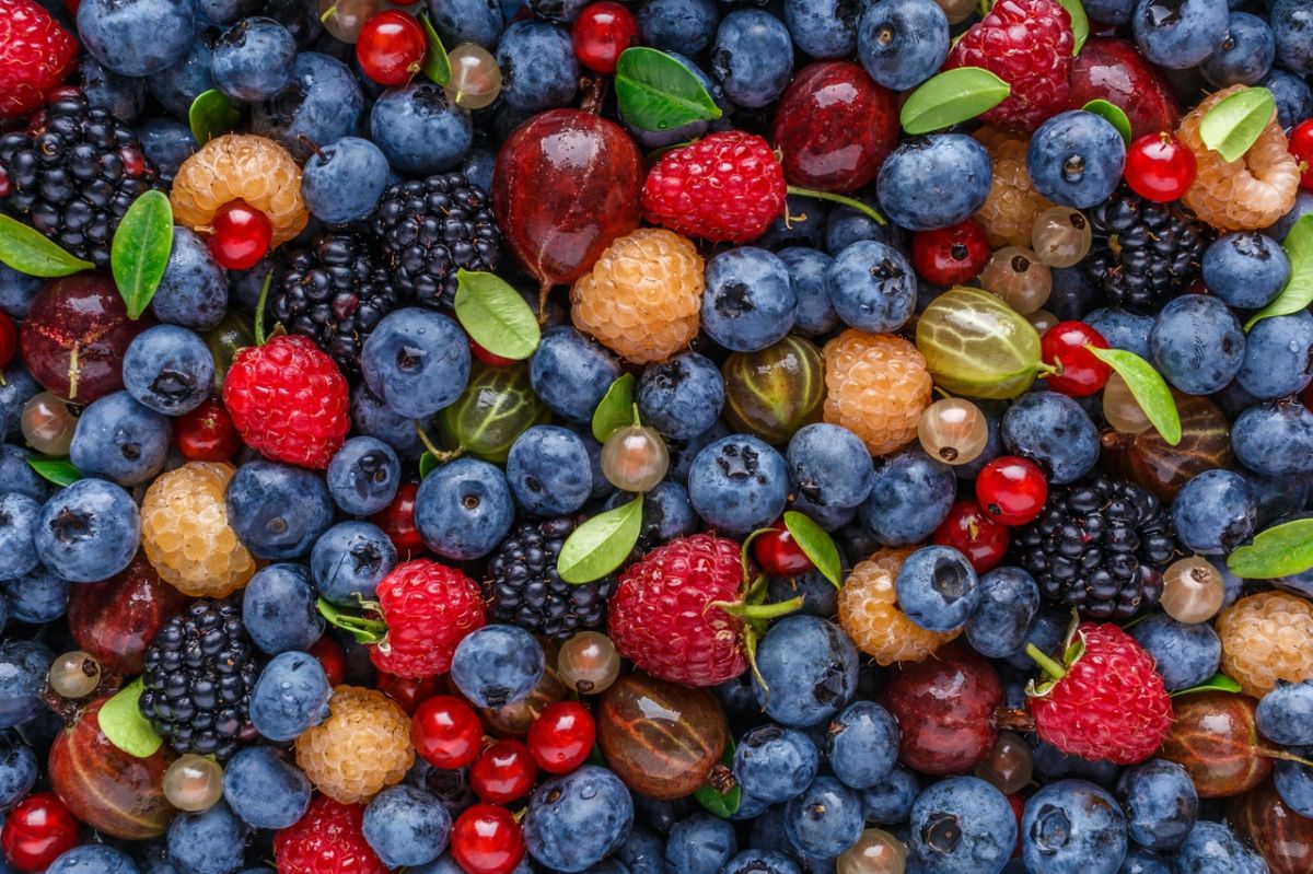Ces bienfaits inattendus de la cranberry pour votre santé