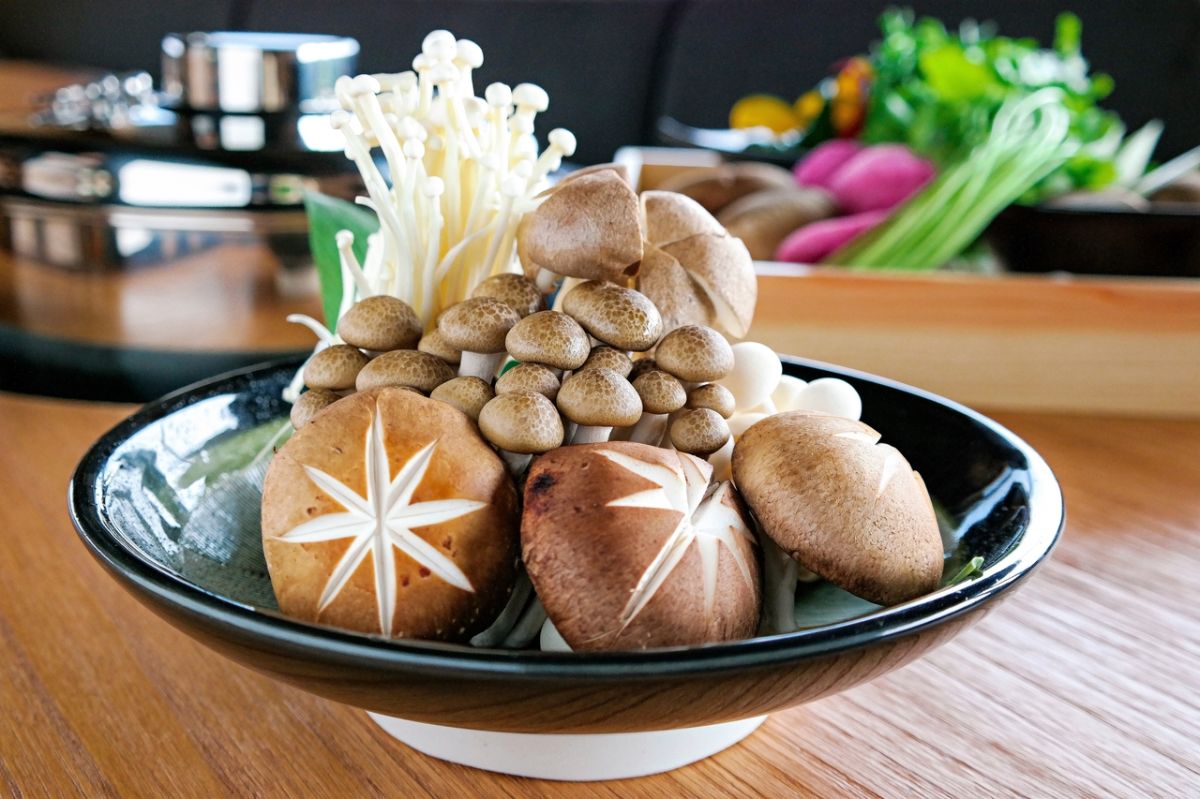 Un champignon aux vertus surprenantes pour le foie selon une étude récente