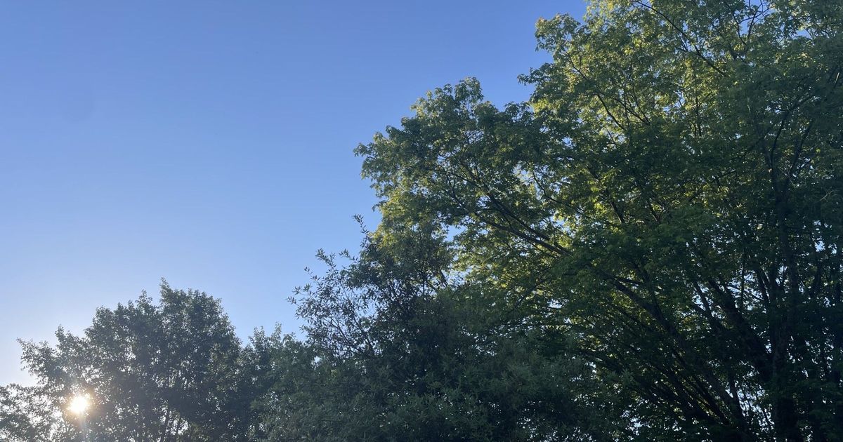 Canicule inédite : la Bretagne bat des records de chaleur nocturne