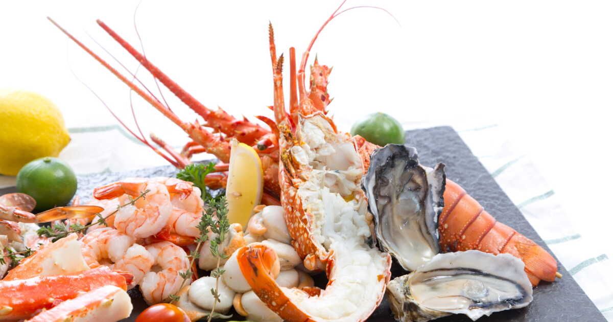 6 idées de chef pour cuisiner la Saint-Jacques, l'oursin, le couteau, le homard et l'ormeau