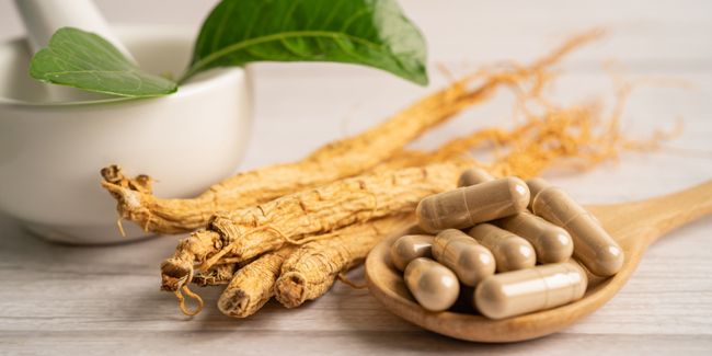 À la découverte du ginseng : une plante aux multiples bienfaits