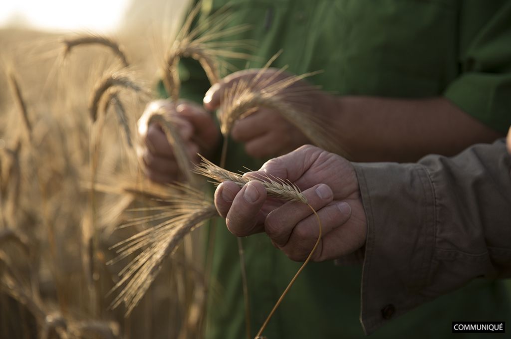 Panzani, la promesse d'une agriculture responsable et savoureuse