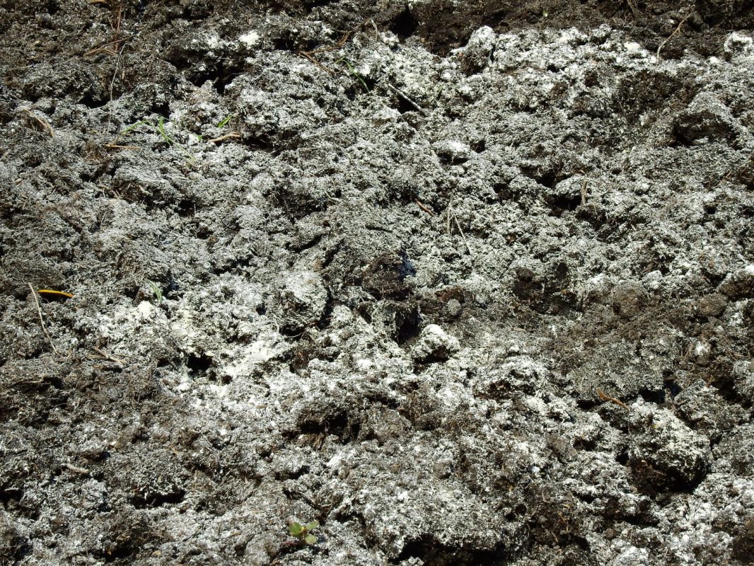 Comment utiliser la chaux vive au jardin ?