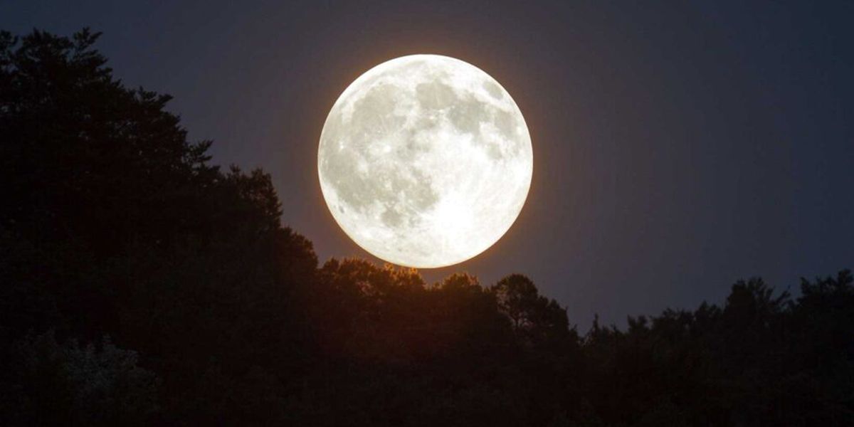 Calendrier lunaire du jardin - Juillet 2025