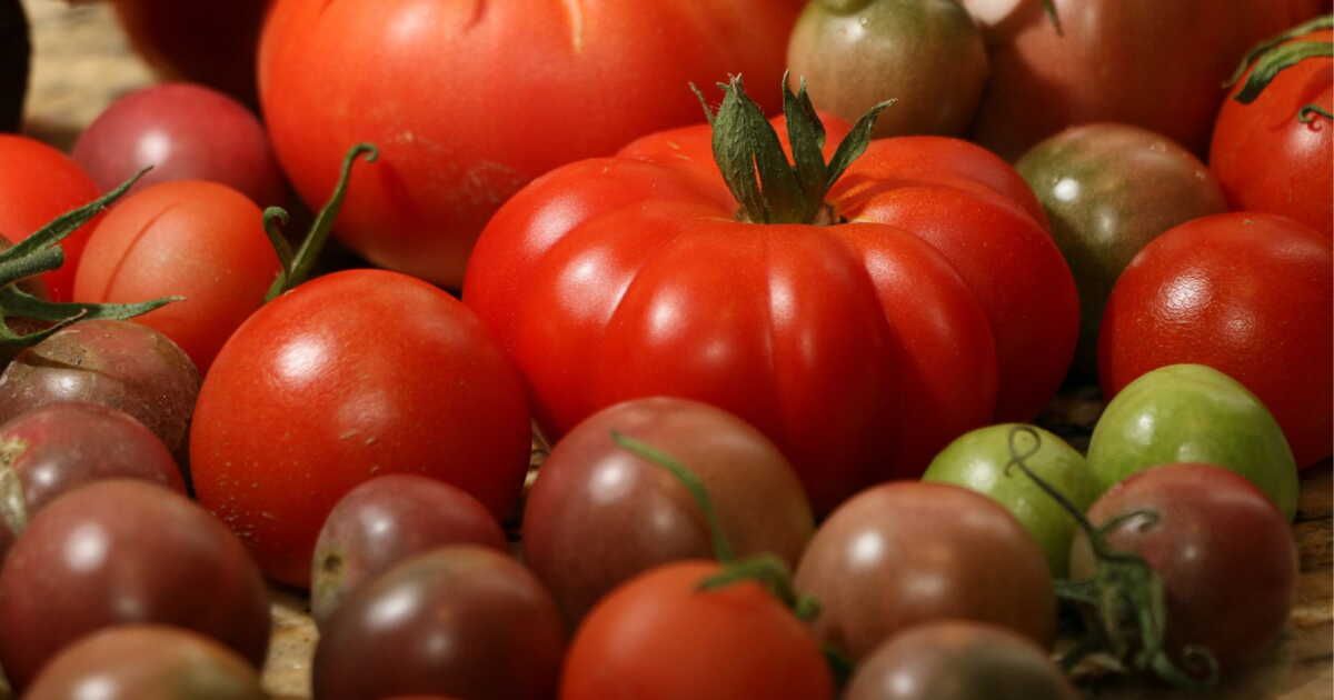 Des astuces ingénieuses pour conserver vos tomates et les garder fraîches