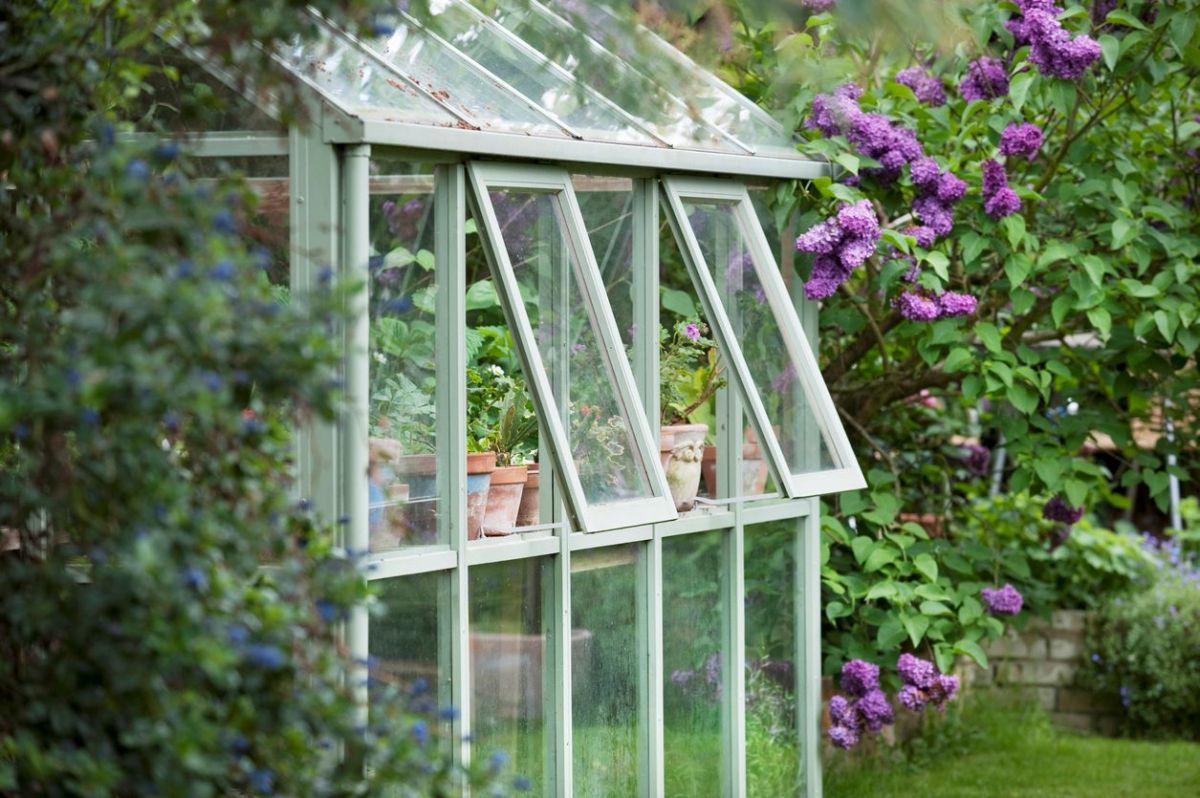 Serre en verre vs serre en polycarbonate : laquelle choisir ?
