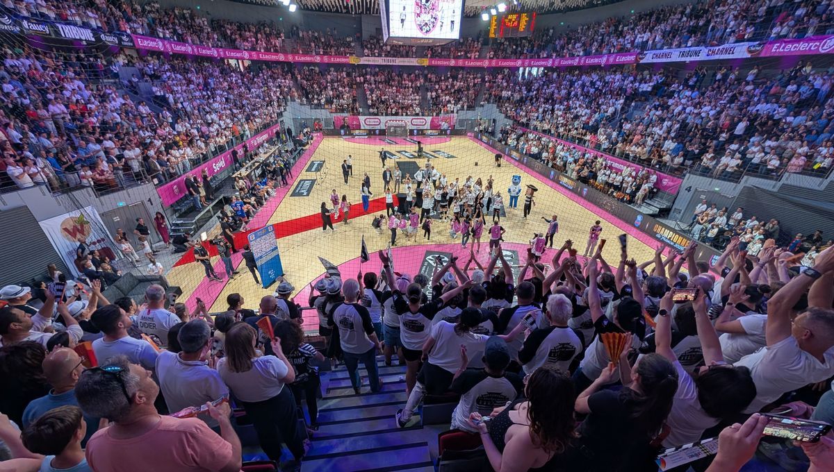 Les Brestoises savourent leur titre de championnes de France : un rêve devenu réalité