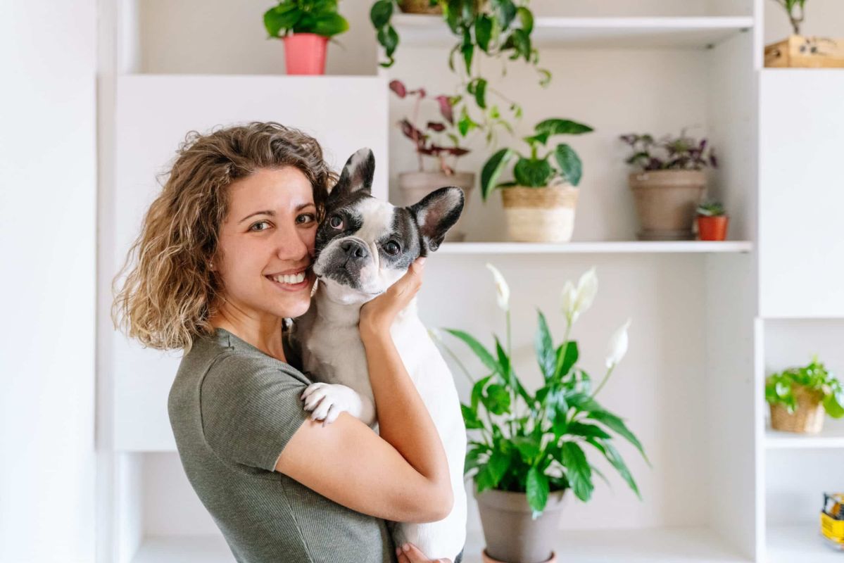 5 plantes d'intérieur à éviter pour la sécurité de vos animaux de compagnie