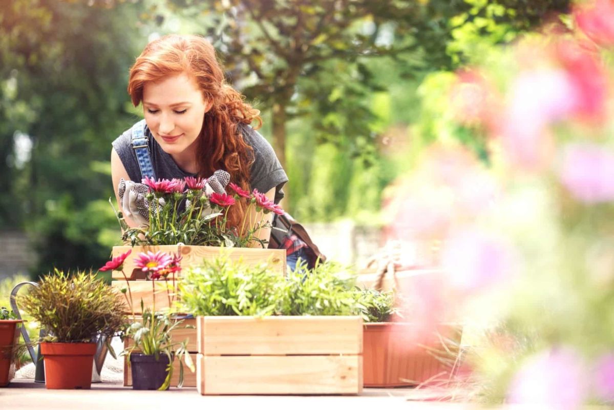 Simplifiez votre jardin : conseils d'experts pour un espace sans entretien