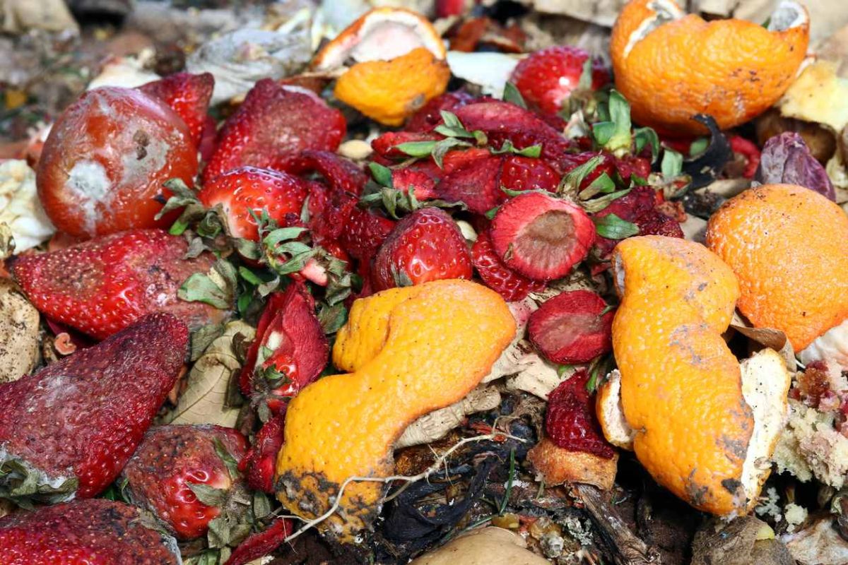 Dites adieu aux mauvaises odeurs du compost avec cette méthode infaillible