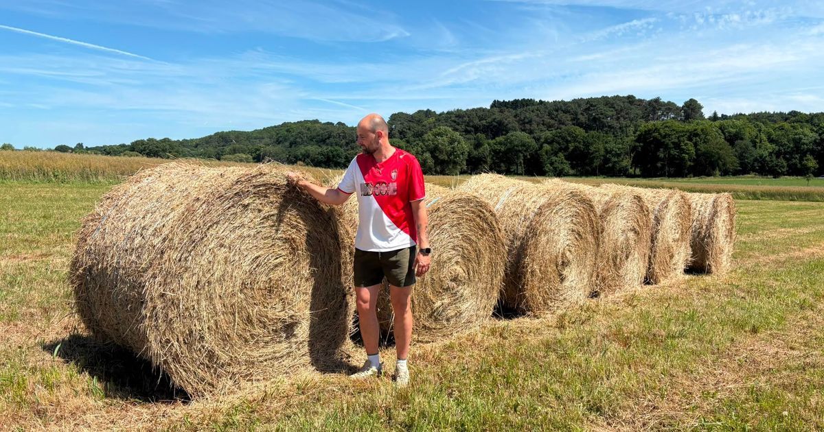 L'impact des caprices du climat sur les récoltes des agriculteurs d'Ille-et-Vilaine