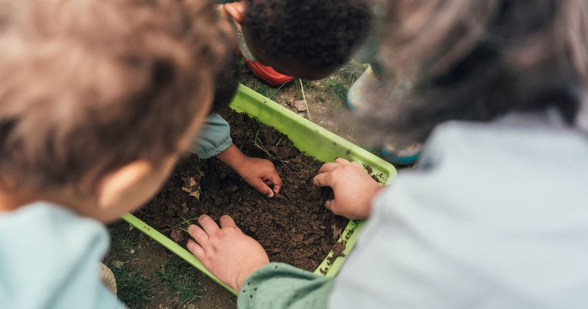 Des enfants épanouis au grand air : la crèche bretonne qui ose le dehors