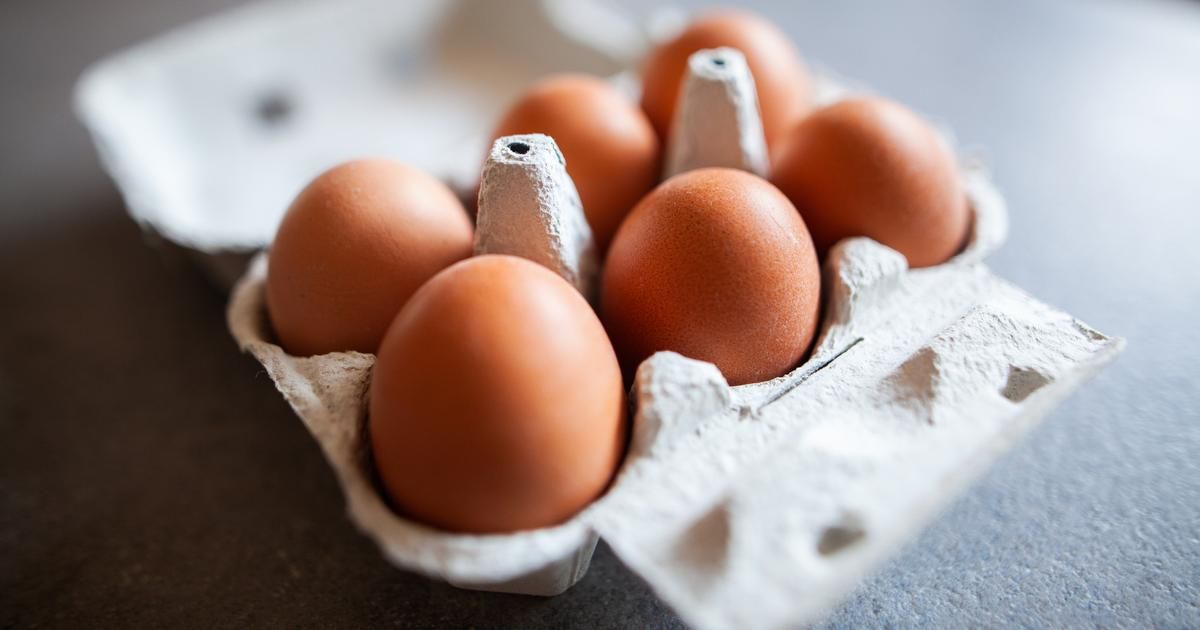 Manger des œufs chaque jour : un choix sain selon les experts