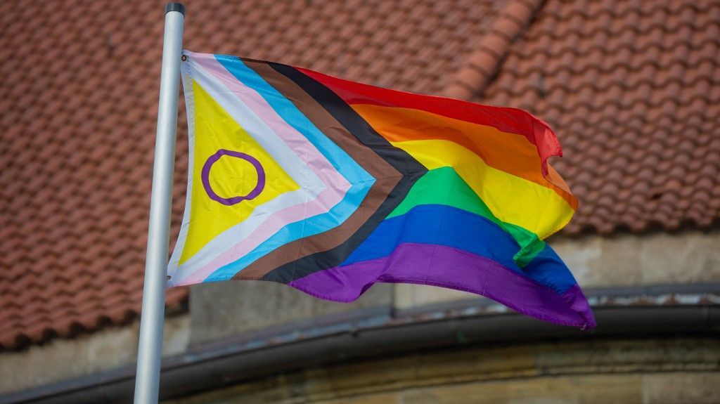 Une statue de Jeanne d'Arc en Ille-et-Vilaine vandalisée avec des couleurs LGBT