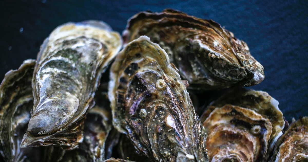 Transformez vos coquilles d'huîtres en alliées du ménage