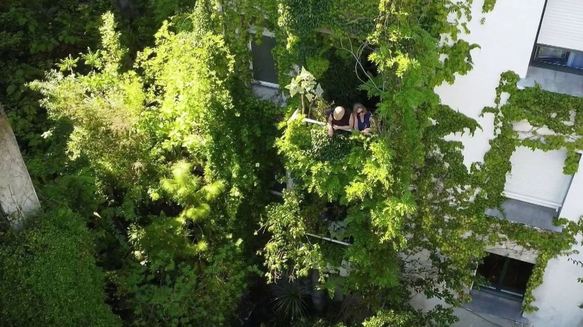 La métamorphose verte d'une cour d'immeuble à Nantes