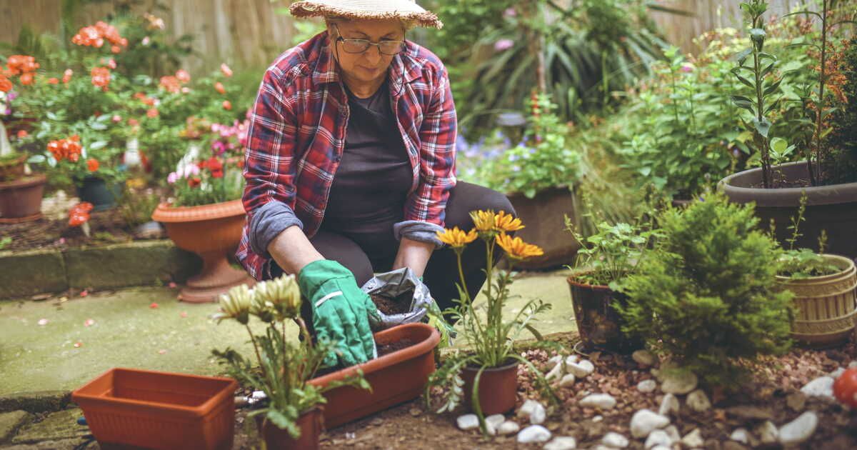 les bienfaits du paillage : 3 solutions écologiques pour votre jardin