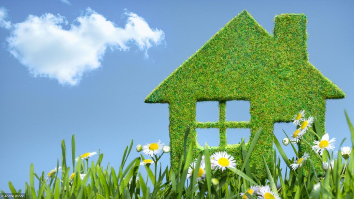 Adoptez les bons réflexes écologiques tout au long de l'année
