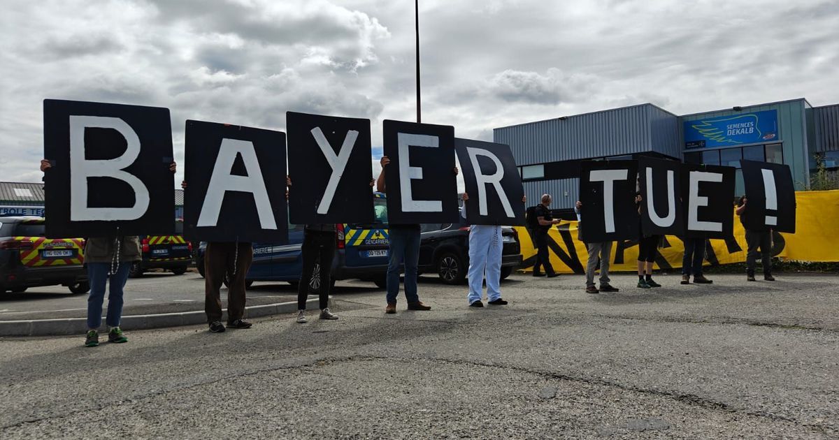 Militants en colère bloquent Bayer : un cri d'alarme contre les pesticides