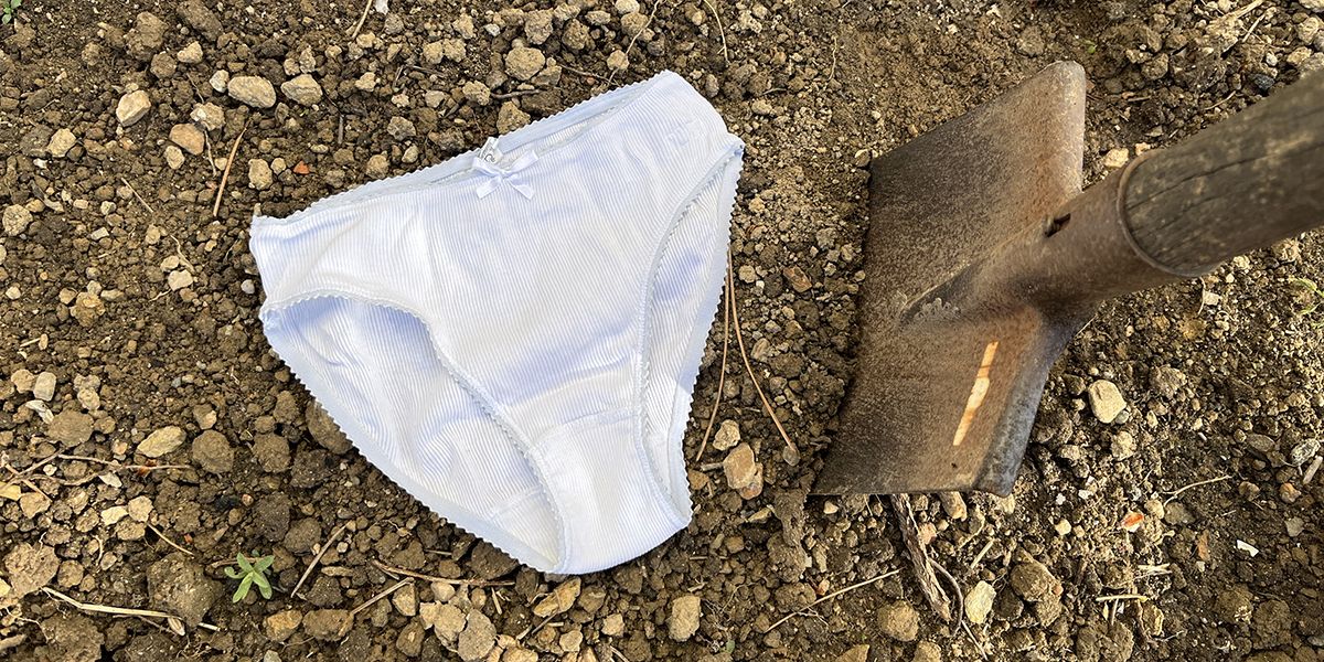 Le test du slip : une méthode surprenante pour évaluer la santé de votre sol