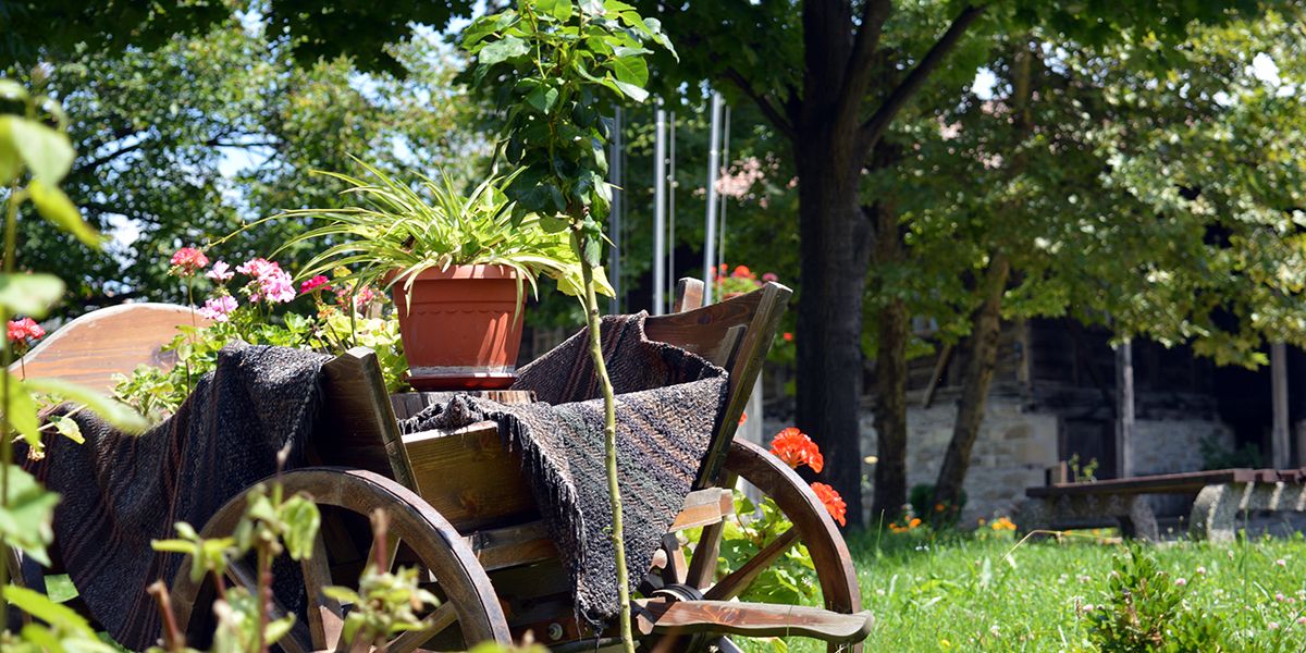 Profiter d'un jardin facile : 10 astuces pour réduire l'entretien au maximum