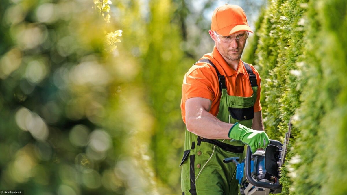 Travaux de jardinage : quelles dépenses déduire de vos impôts ?