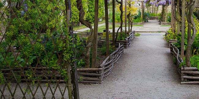 Trois astuces pour créer des bordures naturelles dans votre potager