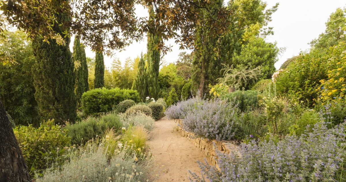Jardin naturel : conseils pratiques pour un entretien minimal