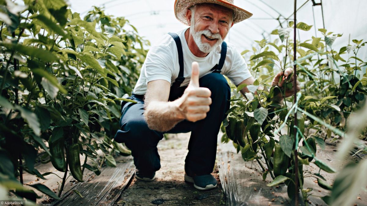 Des pensions en hausse : l'espoir des agriculteurs se profile