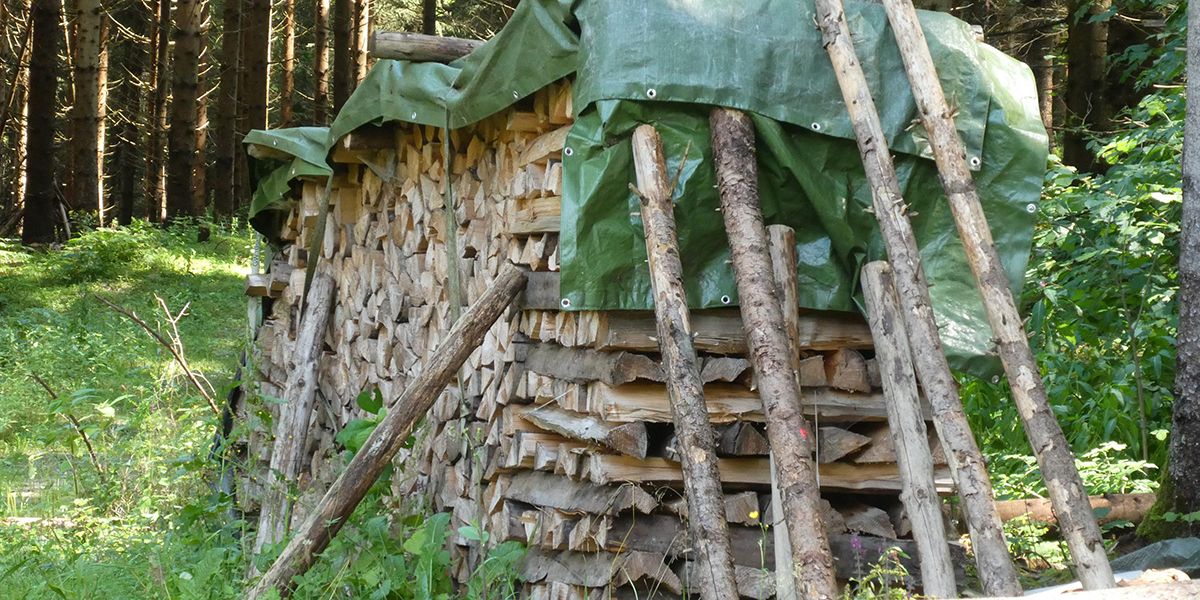 Préparez votre bois de chauffage : techniques pour un séchage optimal